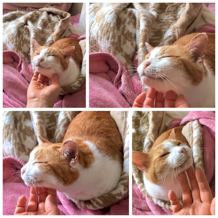 8a1149f7 7e8b 4927 9830 38d2d5936c9c 1588315298362