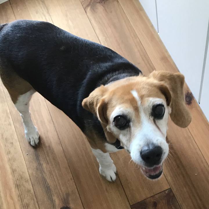 8a117271 3cd9 44ed a770 9c04bf8fb2b8 1565560013011