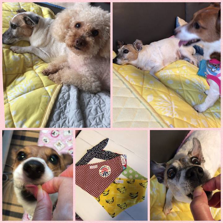 8a1190c8 fe34 47bc 93a8 33bc7cb494f1 1530697005756