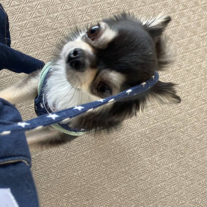 8a11afdf 9057 43c5 9032 ee2e7e568daf 1647843219410