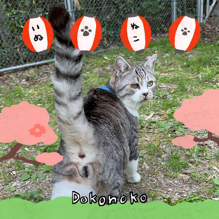8a11b88c 32bf 4f82 9c3c 75bfa96966eb 1712488211989