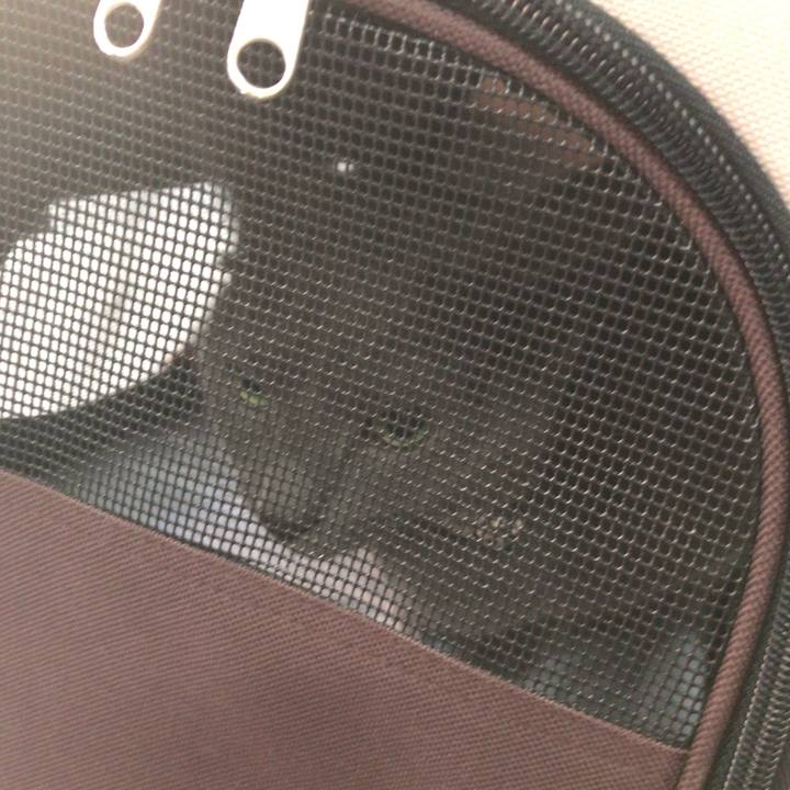 8a11e7a0 7222 4abd 803a c322e5526eca 1510281383417