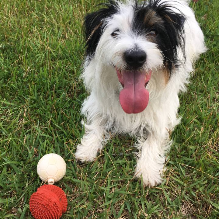 8a11ea0e 4952 438a b977 58c2e9ab5105 1529362317114