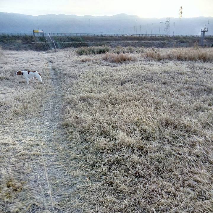 8a11f37a ea5e 4d3b 8a4e 772ce632dc29 1513728966672