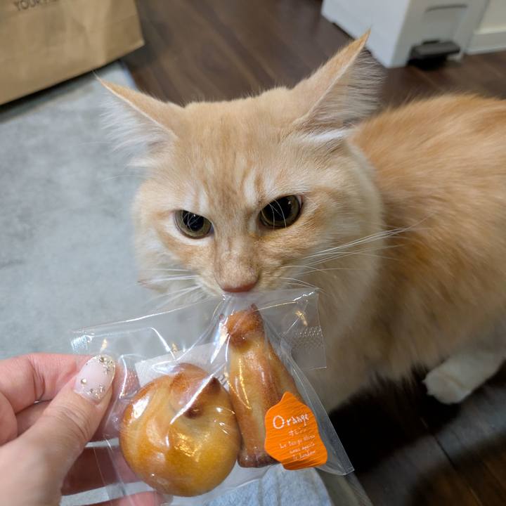 8a120177 3164 4e65 9ad4 fa751606556b 1732960712944