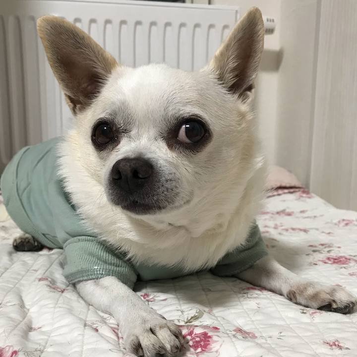 8a1211c4 56c4 4fcf afb9 a2369defcc16 1614576427928