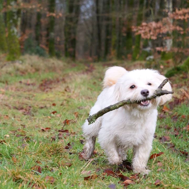 8a121466 c147 492b be51 6742132cb51e 1771177638235