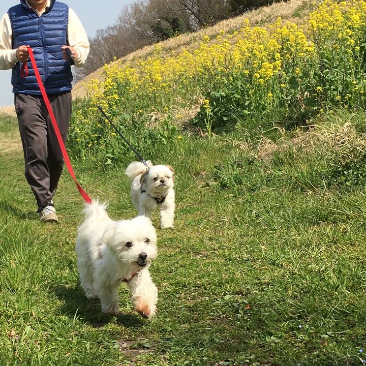 8a122999 a1a9 499c 97ea 392cf477b190 1584881936846