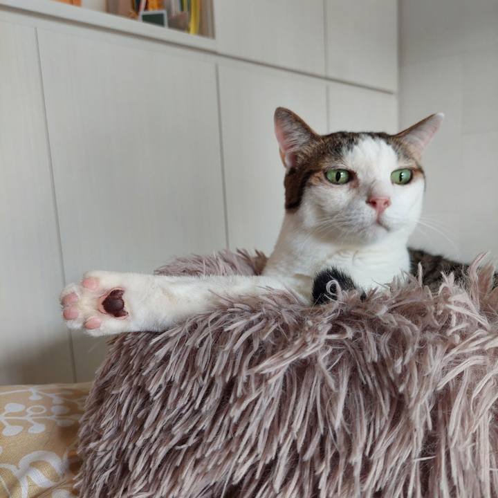 8a123b7a 0d91 4201 bc31 1d4fca9c684e 1728274767930