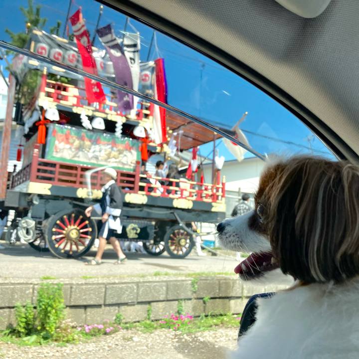 8a124dc8 ab7c 46b1 85d4 cbc22a686590 1754886165511