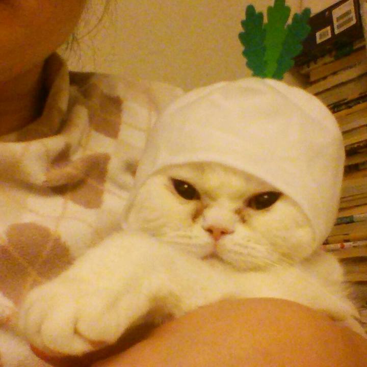 8a124f09 7b9b 4802 b1fe 3571b04258eb 1519303771547