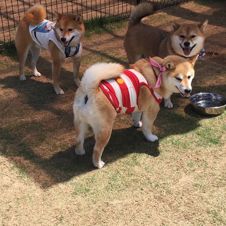 8a12ca98 4a78 464d 97d1 9e07c7fc8524 1560677621169