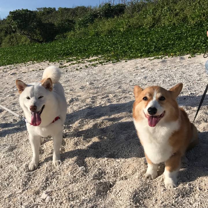 8a12d236 10db 4cbf 8d37 4e656a0836be 1525253922331