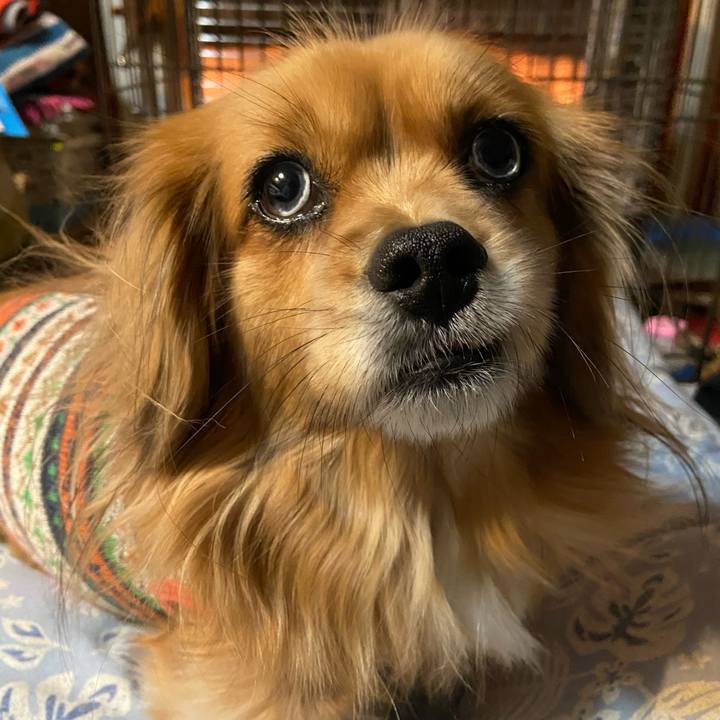 8a131df0 a1b0 4a2c b713 50334422cee0 1609796694674