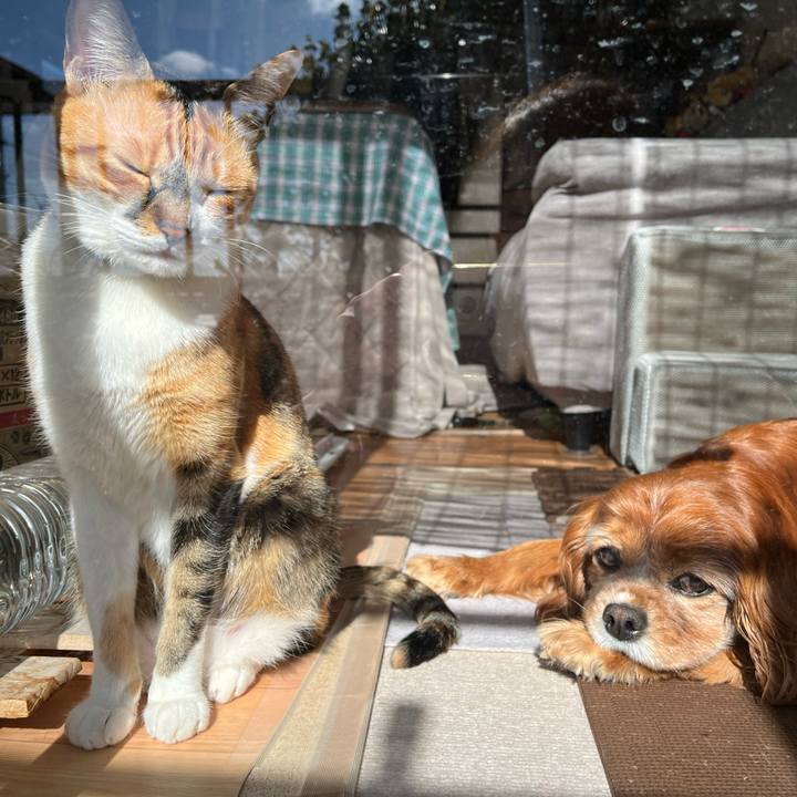 8a13396e 658f 406a 9ff4 ed9d1735b2df 1771292339394