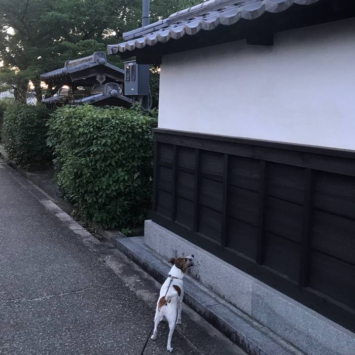 8a134d1b 5f87 4737 a97f 574f014a6690 1528892143424