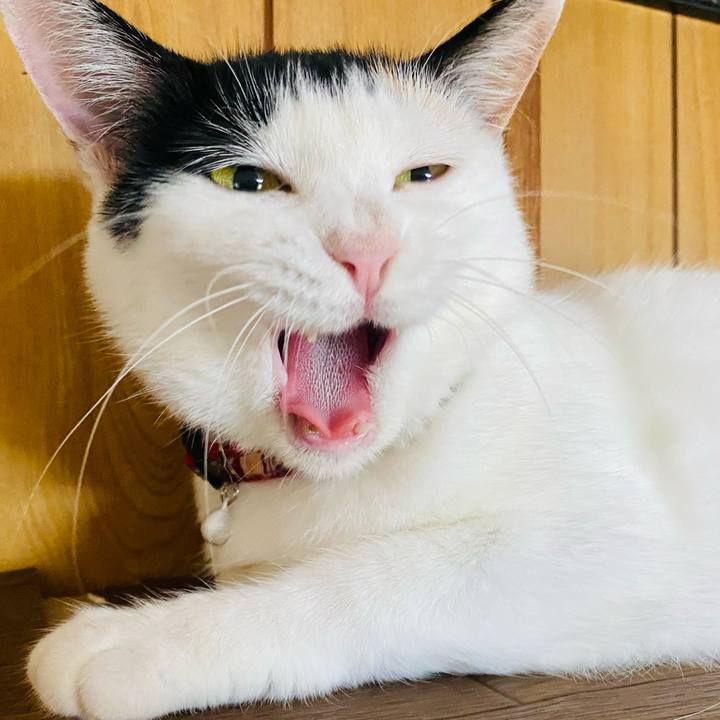 8a136592 d516 48b9 9c10 63c8440e02ab 1659357308516