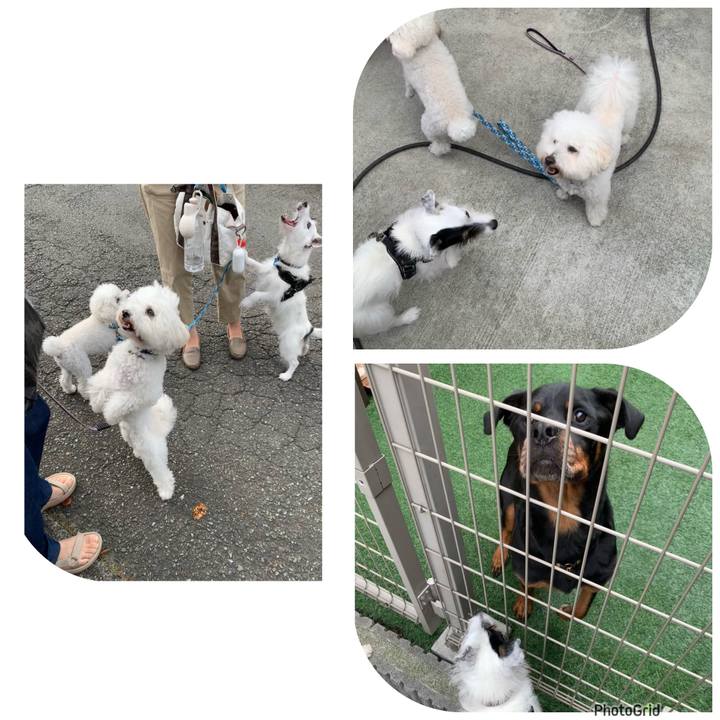 8a137e7d db48 4a7c b849 d95583daed5b 1727654784871