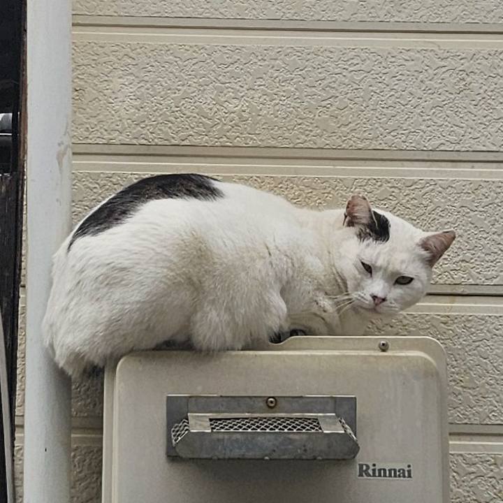 8a138ed4 0457 4a1c bc88 373ba9037f95 1739022856354