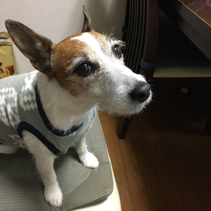 8a139f03 f69e 425a 9609 48ccf0d2fd23 1582067813654