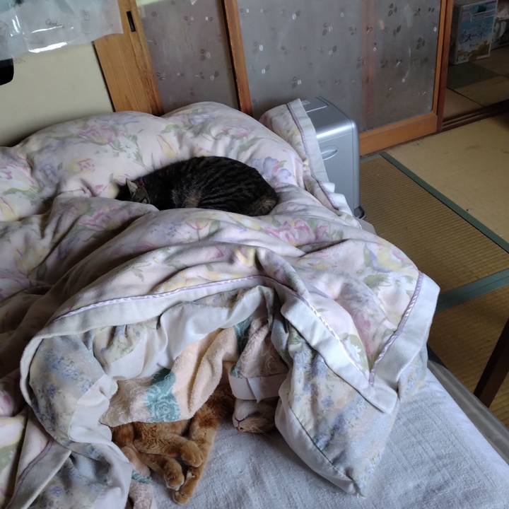 8a13ae74 8213 421c ae77 5aa0fd76d97c 1696203940763