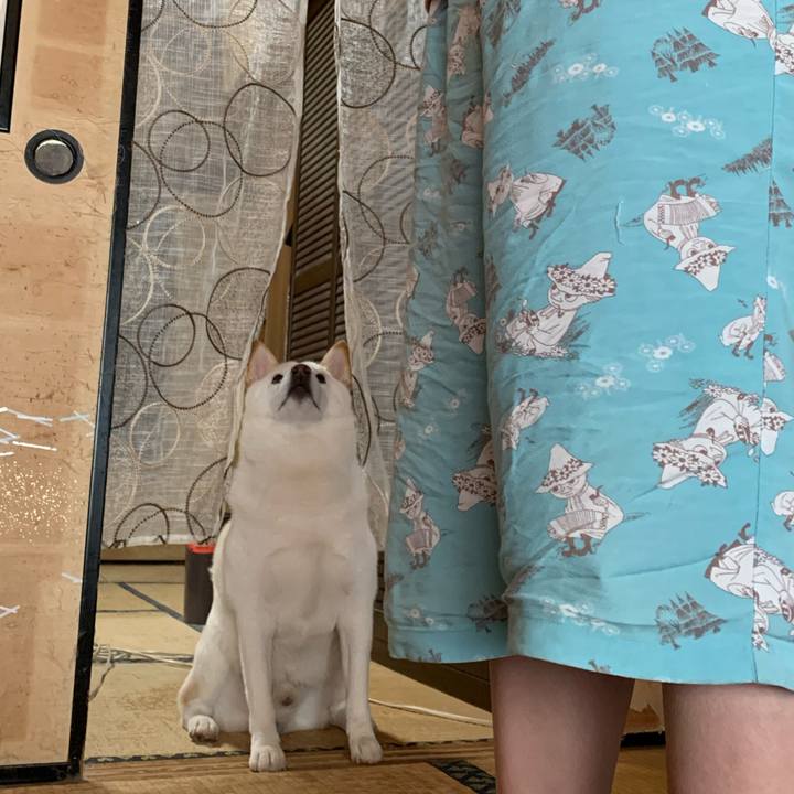 8a13ca11 e02b 4277 949c bbaeb68bb936 1593817341857