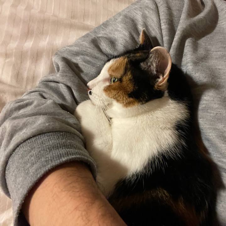 8a13f13c 525b 4fbb 9708 4052aa1bc1b4 1630803826432