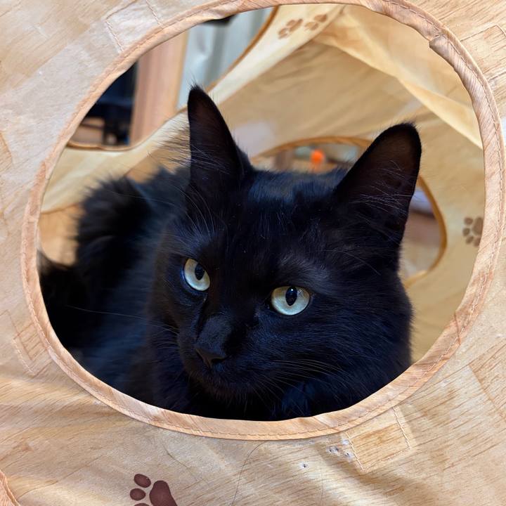 8a1411e5 28d6 4e4e a7c9 a5afcd8e07c1 1772530753782