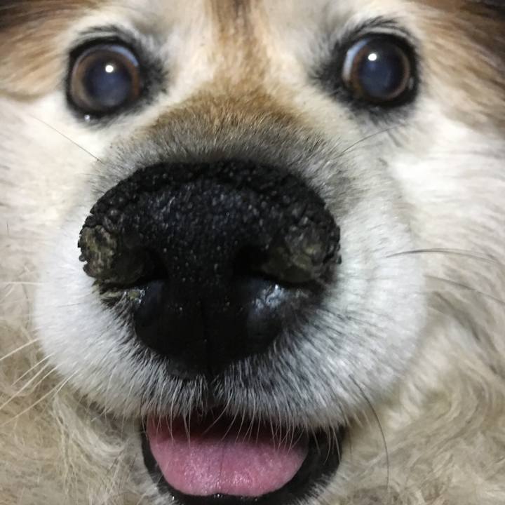 8a14d9b3 d5ca 4b85 b335 f0da470d3038 1557227544560