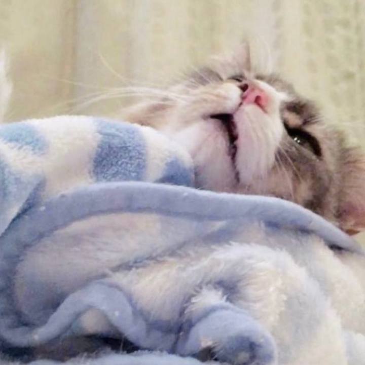 8a150480 2dcf 4610 8944 845607479774 1765648585345