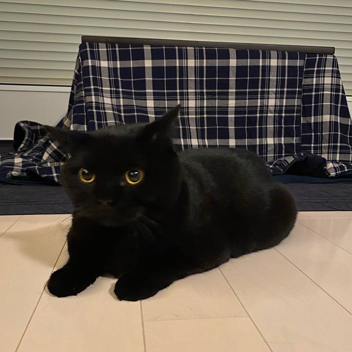 8a156632 1423 474d 8ed3 706a2195cce1 1639819205326