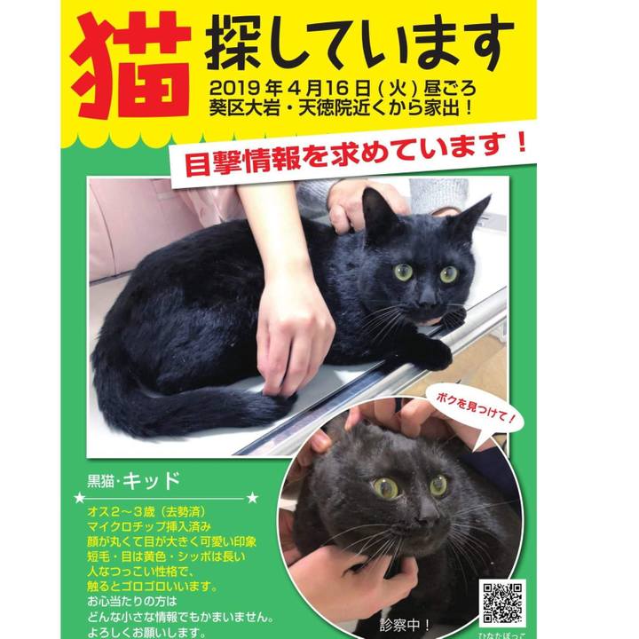 8a1582ff 65be 4831 b742 a637dd74fb54 1556498444120