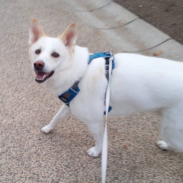 8a15b5a6 9e2e 4d3d a400 8b3619201798 1639268828344