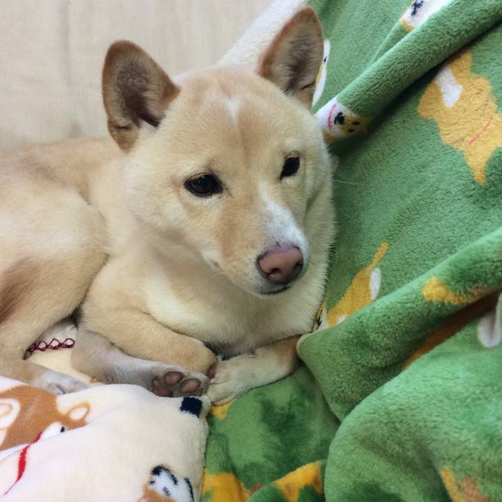 8a15cbb8 29ca 4598 8ba1 11088602fc48 1515972885371