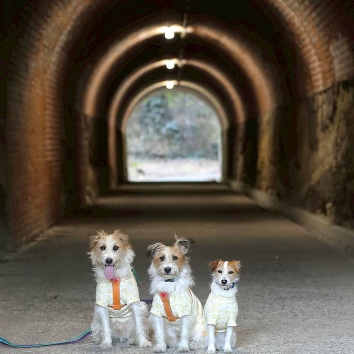 8a1603d6 4e45 4df6 a887 f6f6ea29cf24 1771928970682