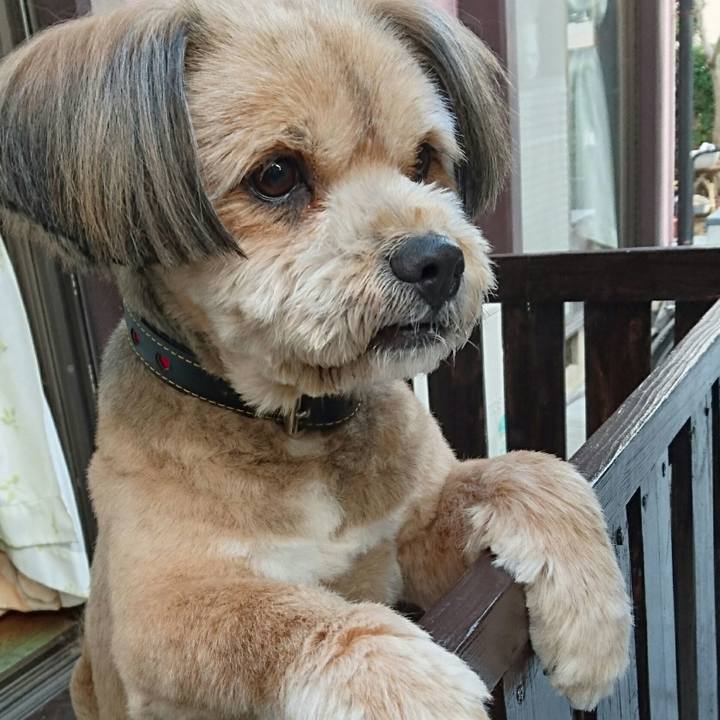 8a1622f4 7ae2 44c2 8145 cd9f8686f3ef 1516663083478