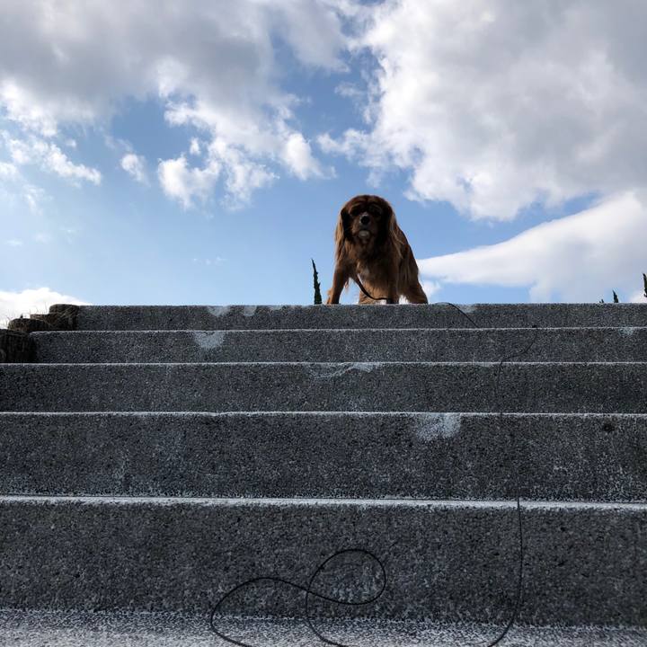 8a1658a1 2aa4 45da b5b6 2072ba34f16a 1580681962223