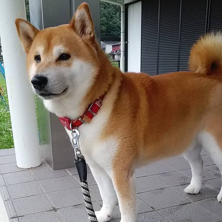 8a16c3f3 b9d5 45bd 82b6 3cce965d6972 1594596539416