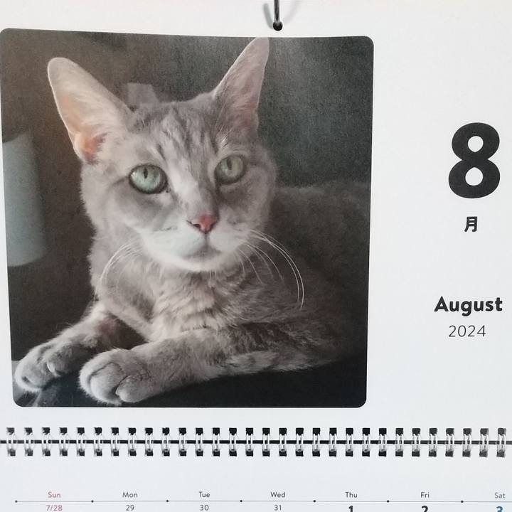 8a16d519 05a9 48a3 a016 22a6a3b90c30 1722466750353