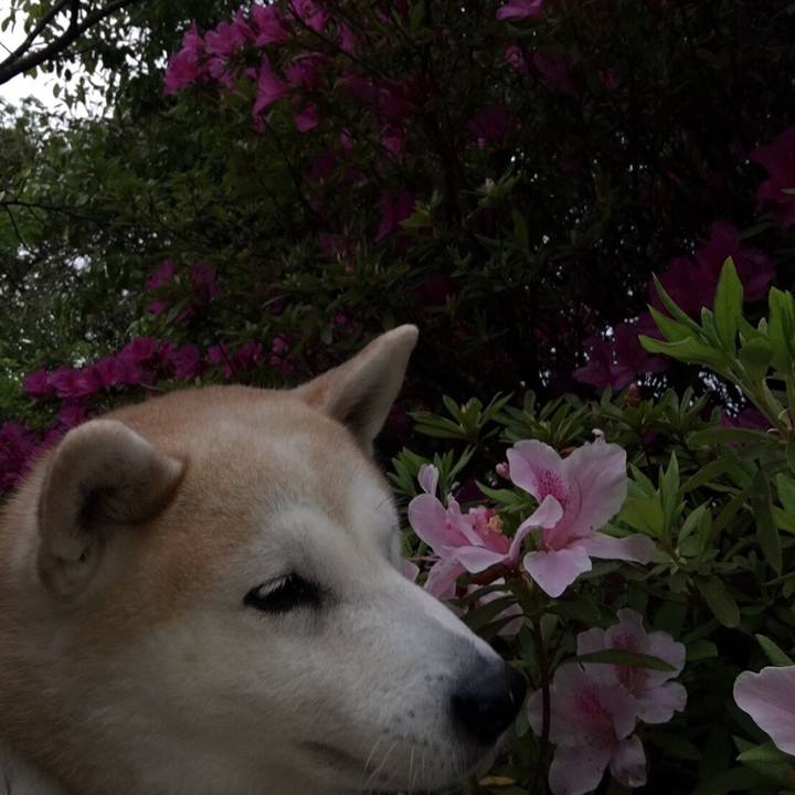 8a16e562 2788 4d1e b983 b3116b7329be 1524662064719