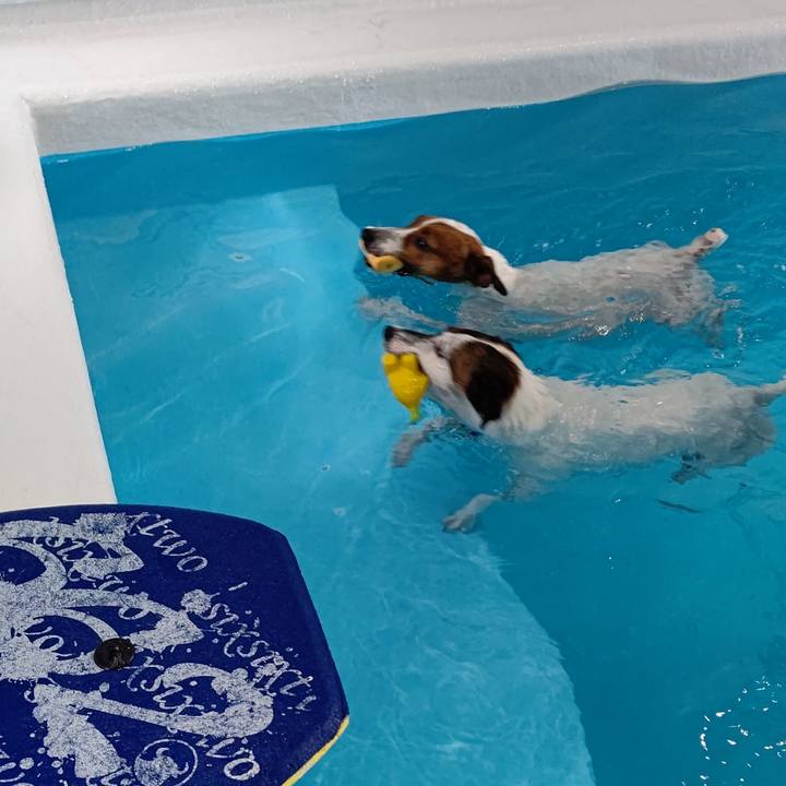 8a1746c8 b8ce 47a1 bcaf 2d7b9e6ce006 1627116465302