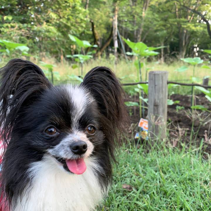 8a174bd3 728b 4f99 b4fd 760421491977 1561584077405