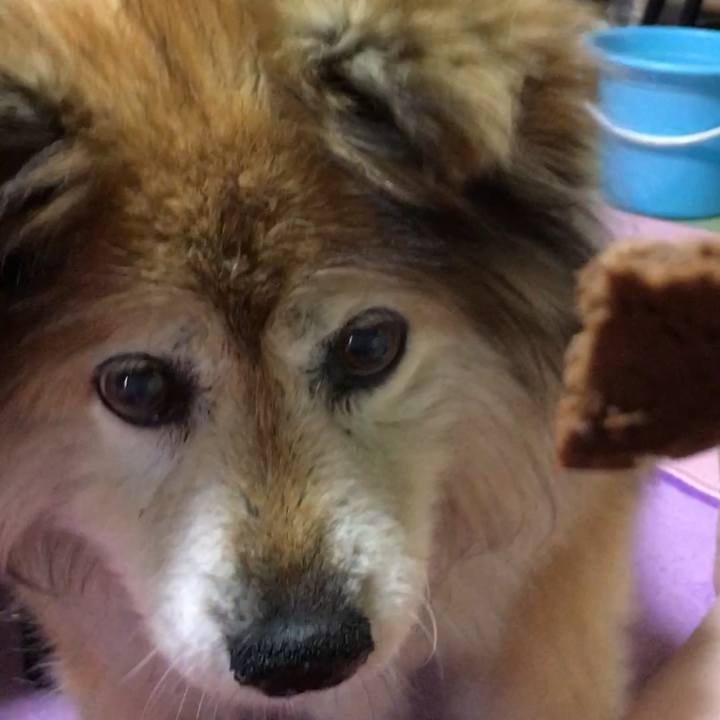 8a175229 0758 447d 8050 b113546add29 1588080942883