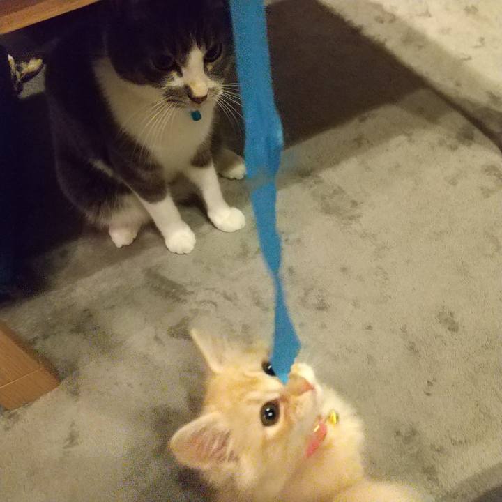 8a1769b0 5db7 48a4 8a3e afeafd8b9e18 1603642363837