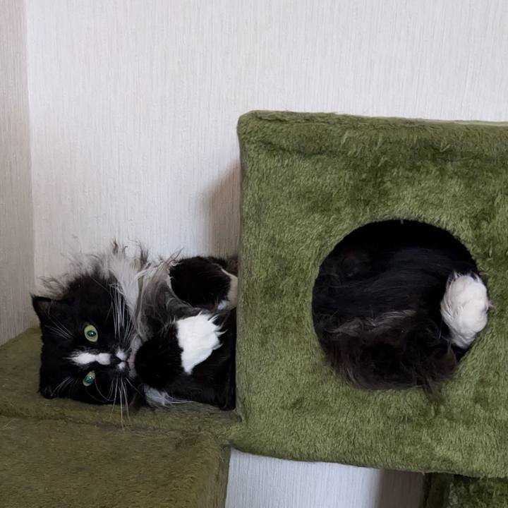 8a179477 2184 45dc acc1 3696b83c2690 1735346090414