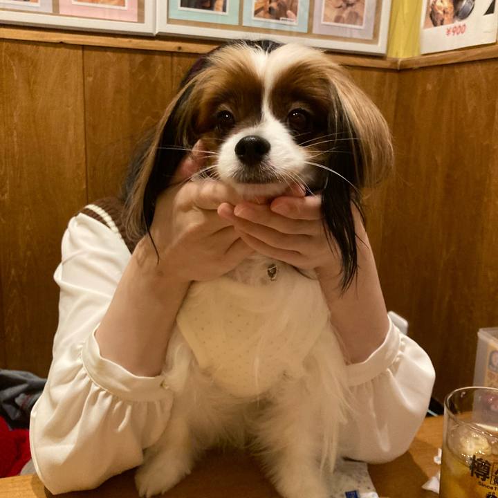 8a17c9fb 563b 40fd b905 f50366922307 1671796226704