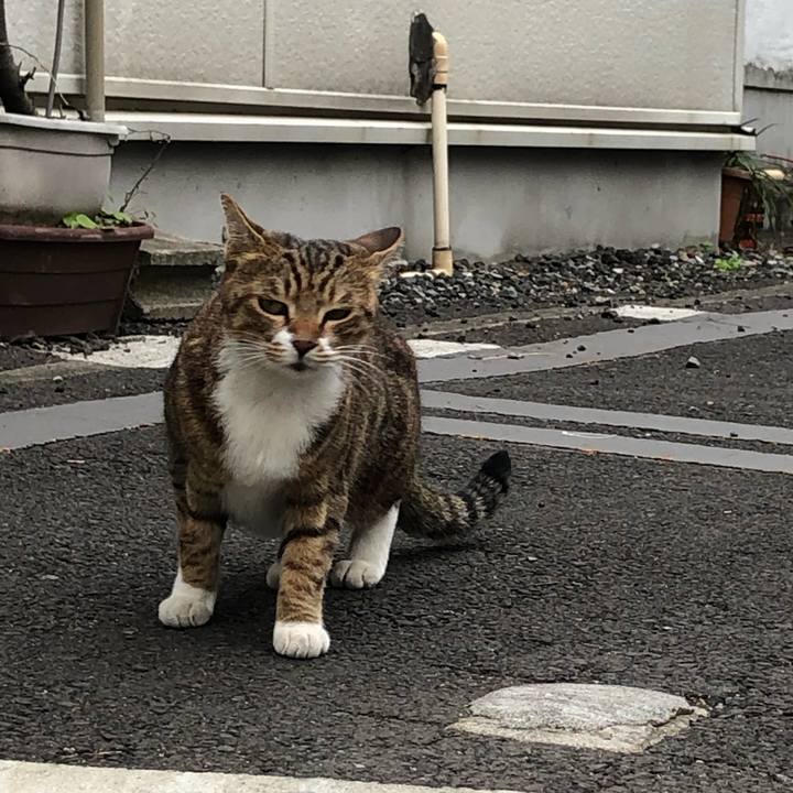 8a17d786 8e8c 4cf6 9157 b754e3648de6 1607479339067