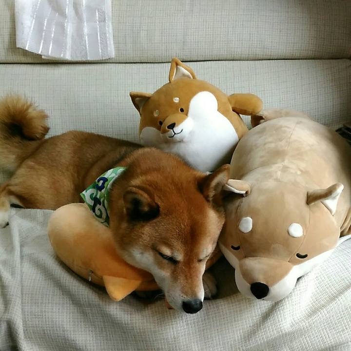 8a182312 6f58 4d01 9ab2 5a60e1e9798d 1559436754899