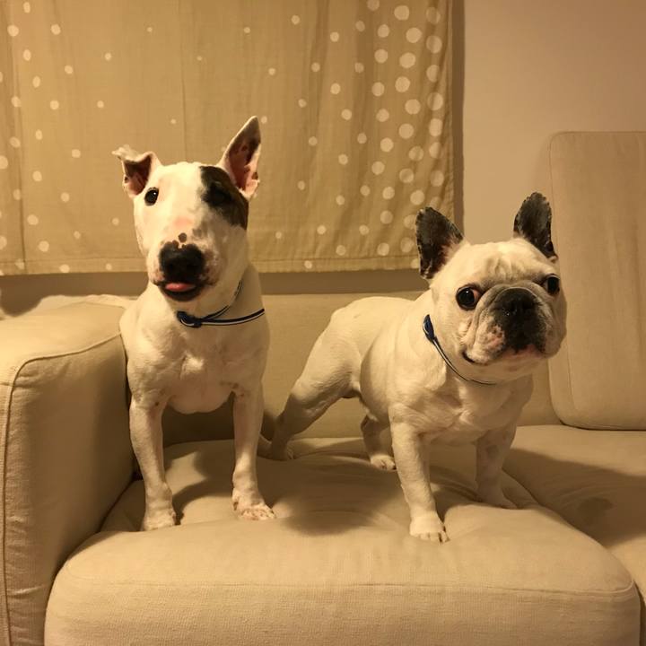 8a18289b 79fb 4b4a 8dc3 463f00f2488a 1529318613656