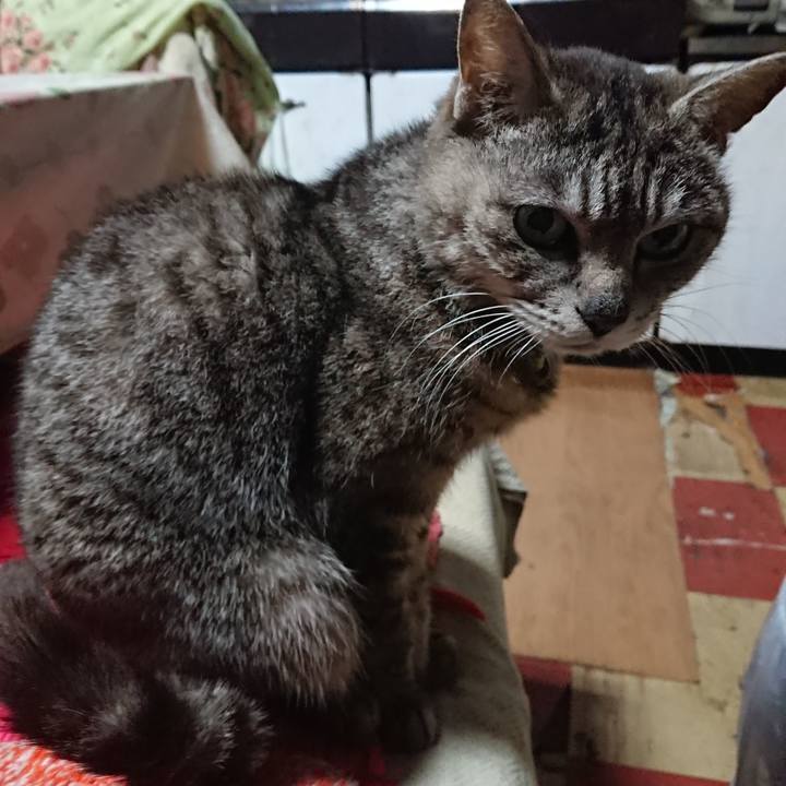 8a183e98 56a7 4364 bd36 bbd1cb5d0b2f 1560195940526